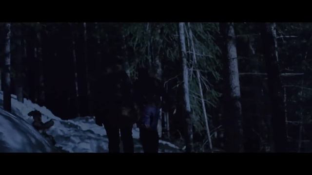 ДОЧЬ ВОЛКА БОЕВИК