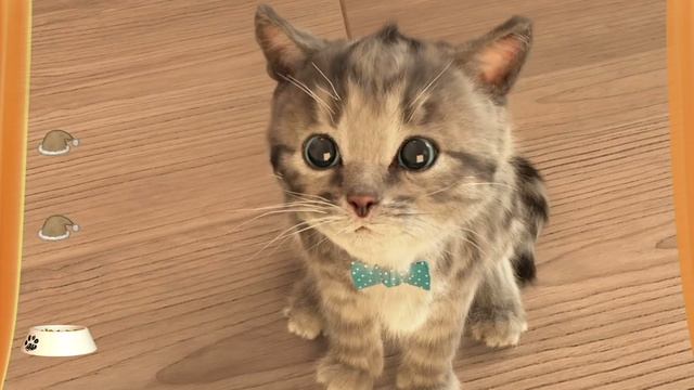 МОЙ МАЛЕНЬКИЙ КОТЕНОК №2. ИГРА про котят на канале Хвостик ТВ
