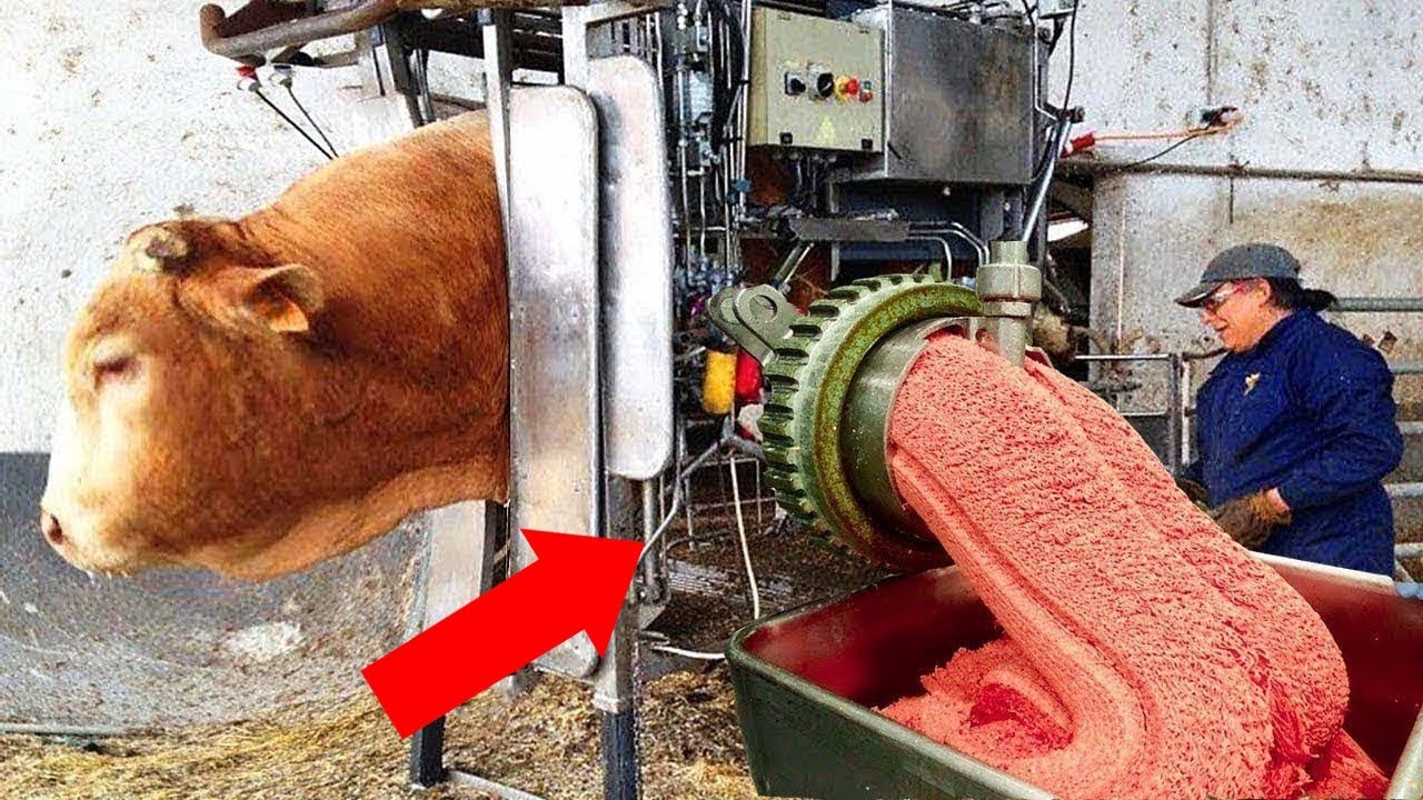 Производство, от Которого у Вас Пойдут Мурашки по Коже