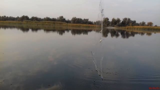 Снасть "косынка"... Ловля "косынкой" на реке...