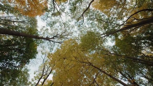Один короткий телефонный звонок вывел жену на чистую воду прямо в магазине. Истории измен
