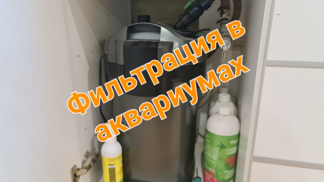 Фильтрация в аквариумах