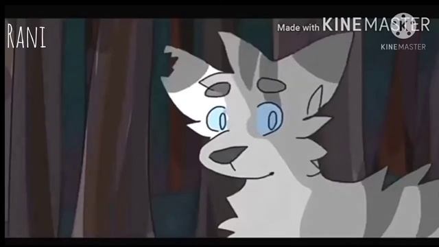 Коты Воители- клип //Коршун\\Everything Black\\