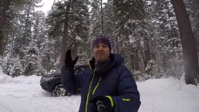 Тойота Прадо 150 выбор бензин VS дизель. Недостатки конструкции отзыв владельца