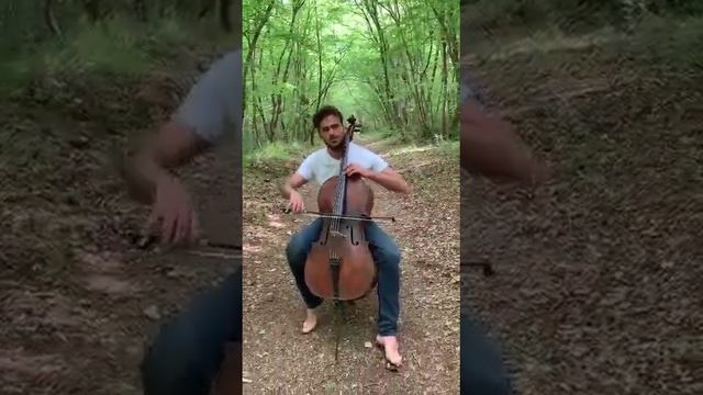 Степан Хаузер (Stjepan Hauser). Хорватский виолончелист