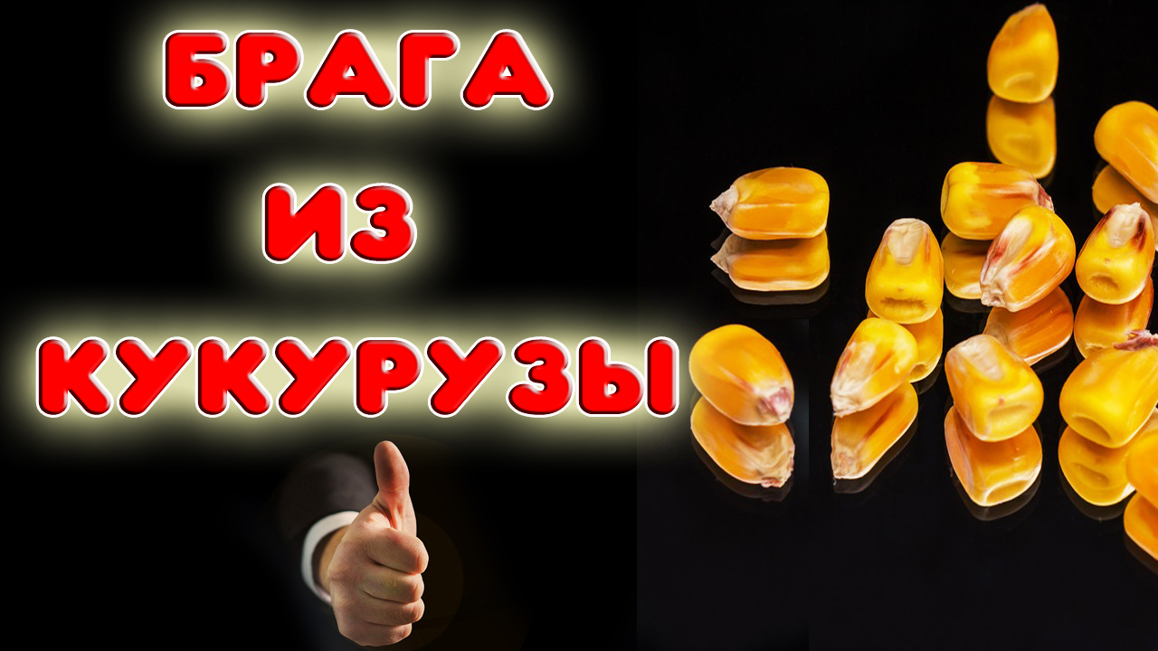 Рецепт приготовления браги из кукурузы. Делаем кукурузный виски или бурбон