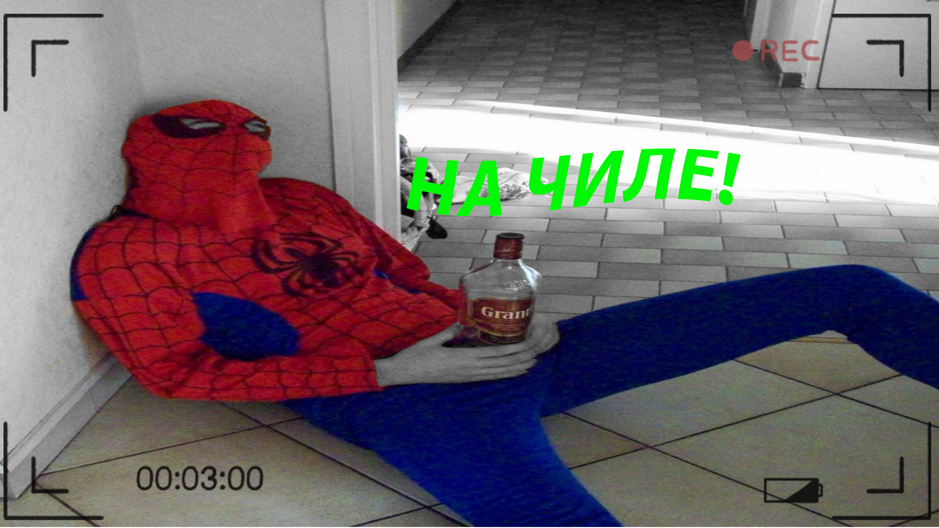 ПОПРОБУЙ НЕ ЗАСМЕЯТЬСЯ, 99% ПРОИГРАЮТ | ПОДБОРКА ЮМОРА \ СМЕШНЫЕ ВИДЕО ИЮНЬ 2023