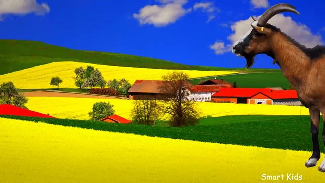 Learn Names and Sound Domestic Animals in English for Kids Children Toddlers