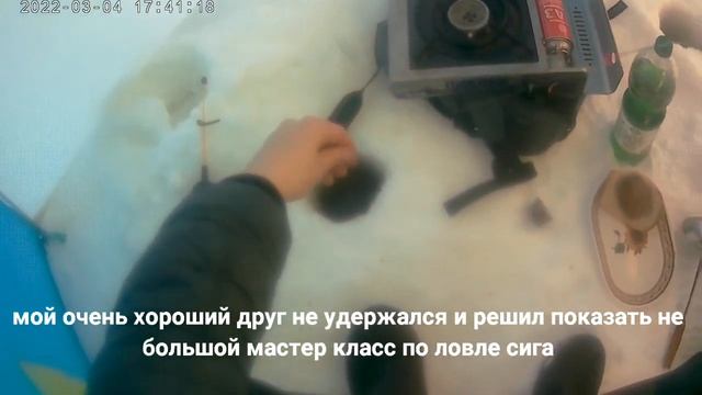Рыбалка на сига зимой / как поймать сига зимой / снасти на сига"