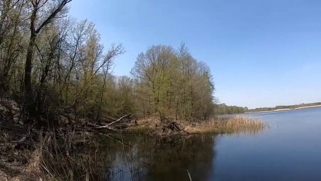 МЕГАЛОДОН ЖИВ?? Рыбалка в Чернобыле в Реке Припять Вадим Вадимыч