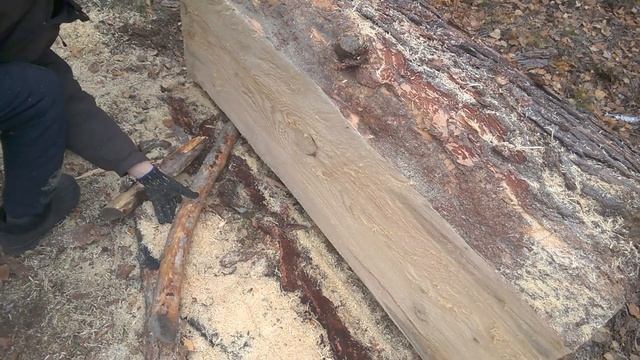 Распил бревна на доски бензопилой в лесу