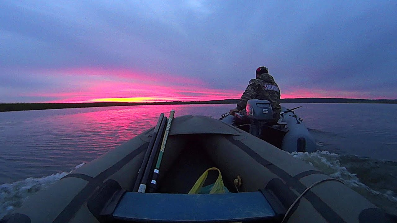 ПОПАЛ В НАСТОЯЩЕЕ ЛОГОВО КАРПОВых! Рыбалка на поплавок в камышах.FISHING