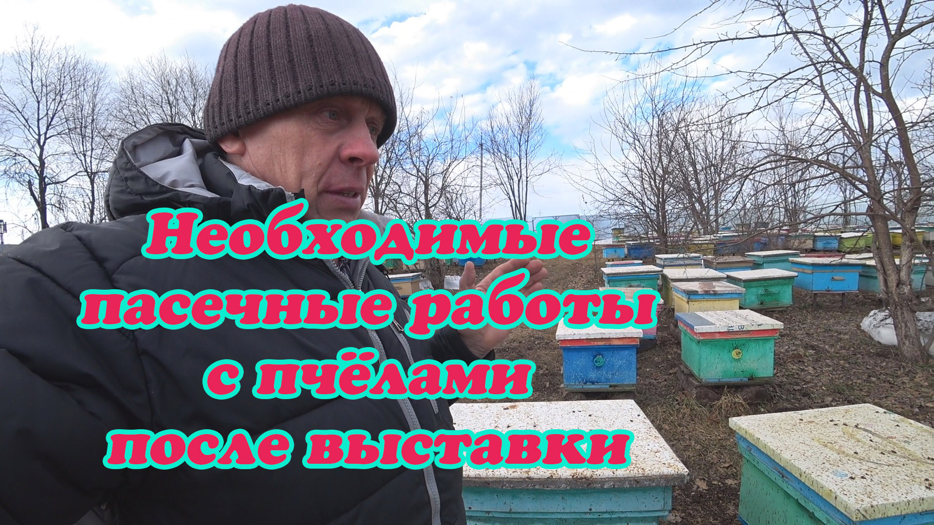КОГДА ПРОИЗВОДИТЬ РАБОТЫ С ПЧЁЛАМИ РАННЕЙ ВЕСНОЙ, О ВЫВОДЕ МАТОК ВОСПИТАТЕЛЬНИЦЫ