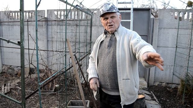 АКТИНИДИЯ - как посадить актинидию весной