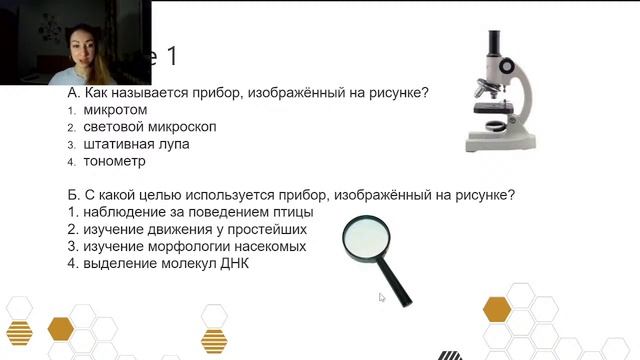 Зоология - наука о животных. Общие признаки царства животные | 8 класс | Онлайн-школа Bumblebee ?