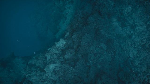 Prehistoric.Planet.S02E04.Доисторическая планета.Девид Аттенборо.