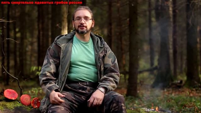 Михаил Вишневский.  Пять самых ядовитых грибов России.