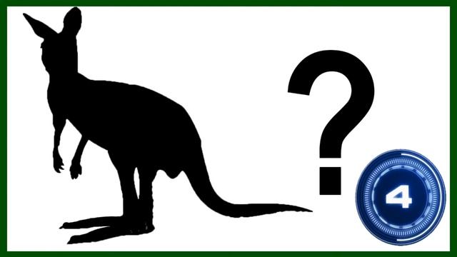 Guess the Animal Quiz #1 | Can You Guess the Animals Shadows | Animal Quiz Guessing Game - 2022