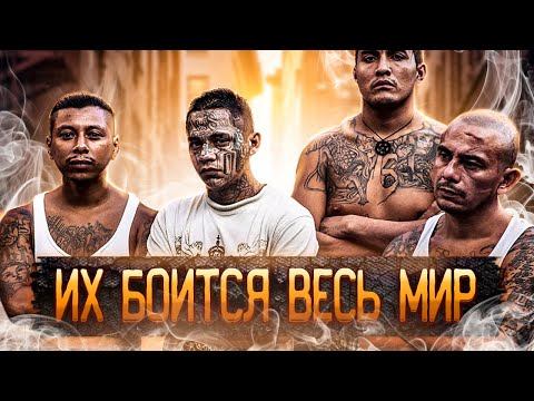 Держитесь Подальше! Самые Жестокие и Опасные Банды в Мире