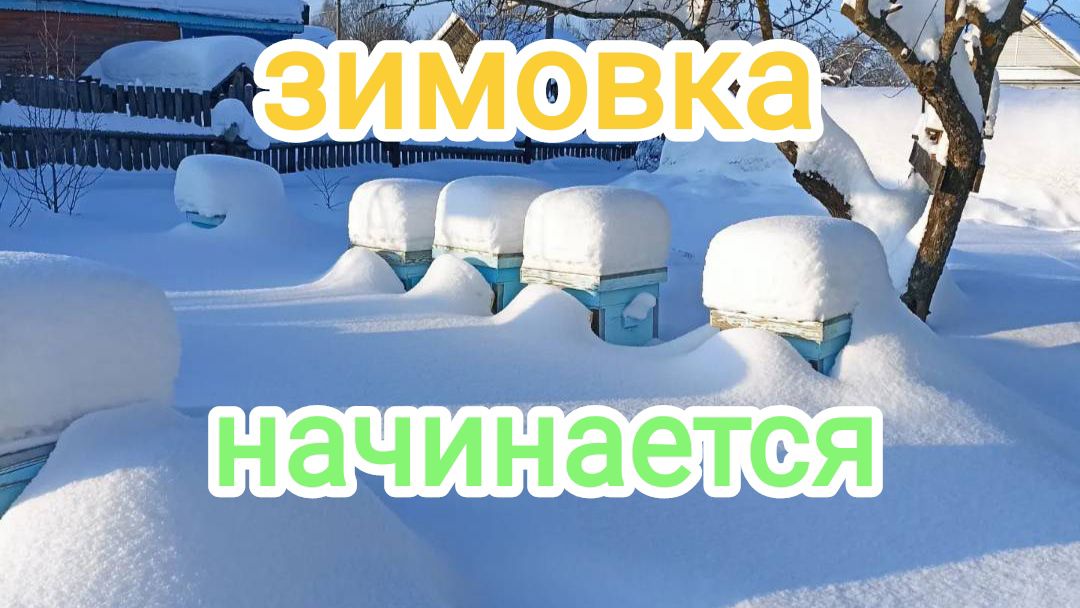 Утепление и вентиляция пчёлам,зимующим на улице. Пчеловодство.