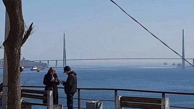 Сквер Анны Щетининой с видом на мост на остров Русский/Владивосток/март 2021