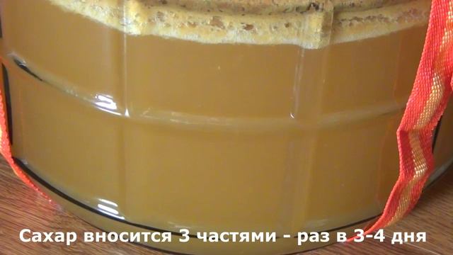 Яблочный сидр