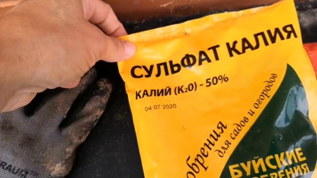 Осенняя подкормка роз. Монокалийфосфат. Буйские удобрения