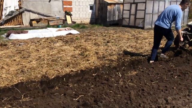 Вспашка плугом на мотоблоке Каскад