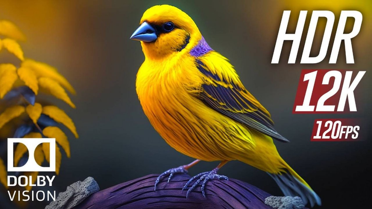 Дикие животные 12K HDR 120fps Dolby Vision (цветная динамика) со звуками животных