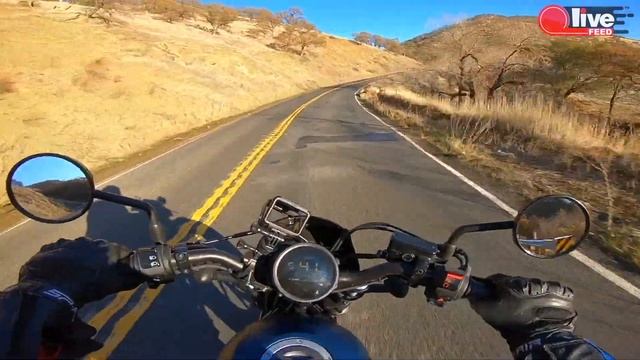 Honda Rebel 300 — Полный тест-драйв, разгон, фишки, все за и против | LiveFEED®