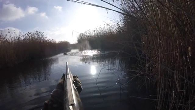 Охота на Кабана