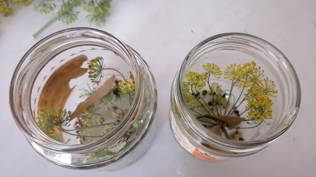 Маринованные грибы грузди волнушки белянки