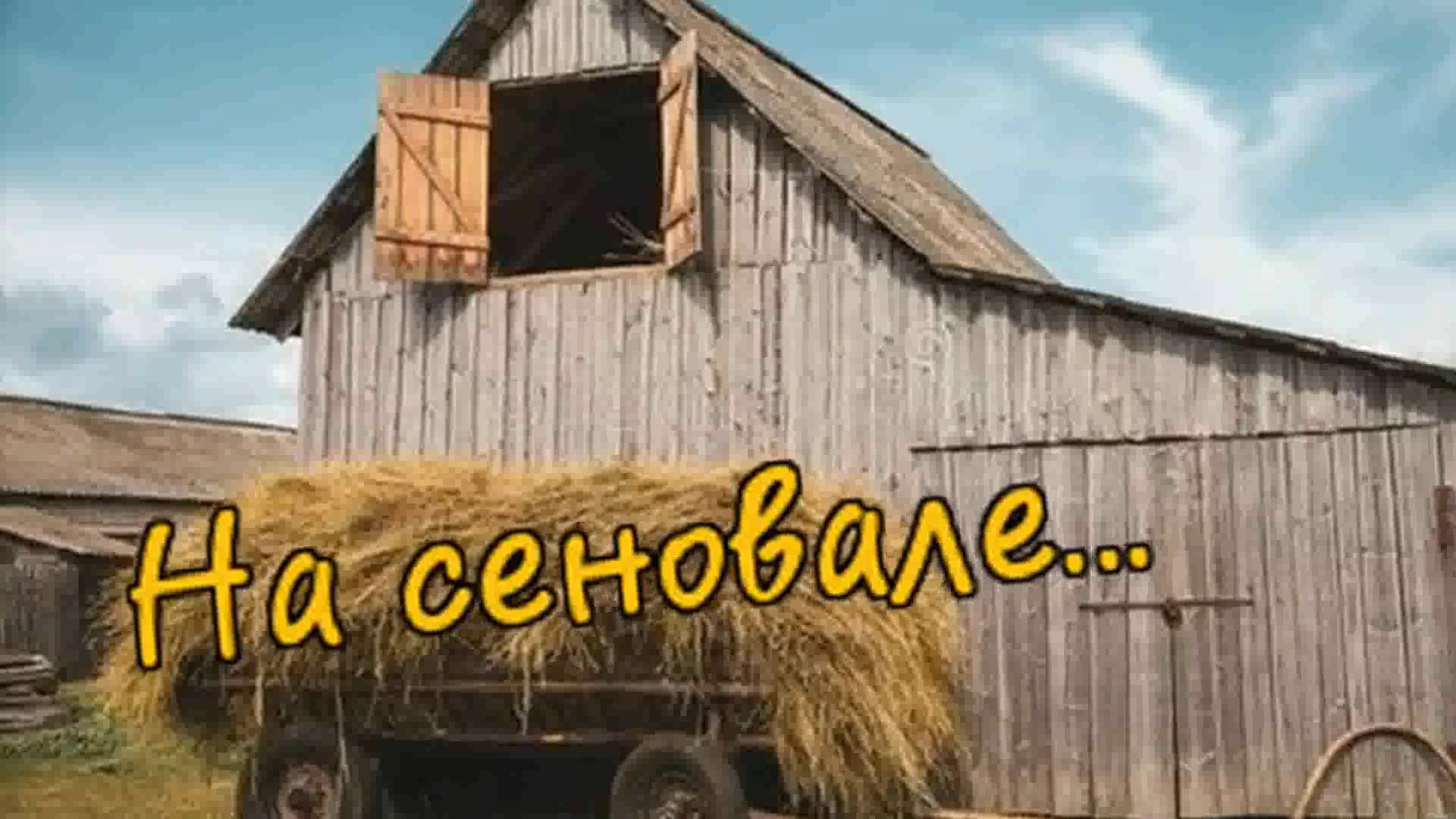 Сергей Паради - На сеновале