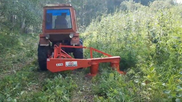 Сенокос, роторная косилка lisicki на т 25 владимирец - (Lisicki rotary mower on t 25 vladimirets).