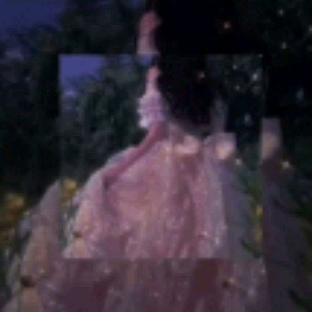 AS_MER