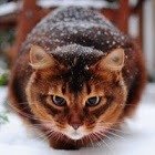 alexandran@yandex.ru