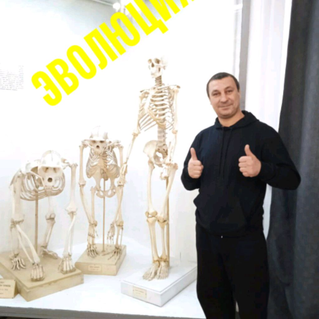Питер-Псков