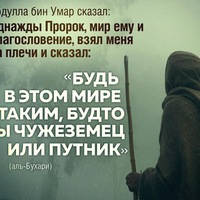Alibek Sandygulov