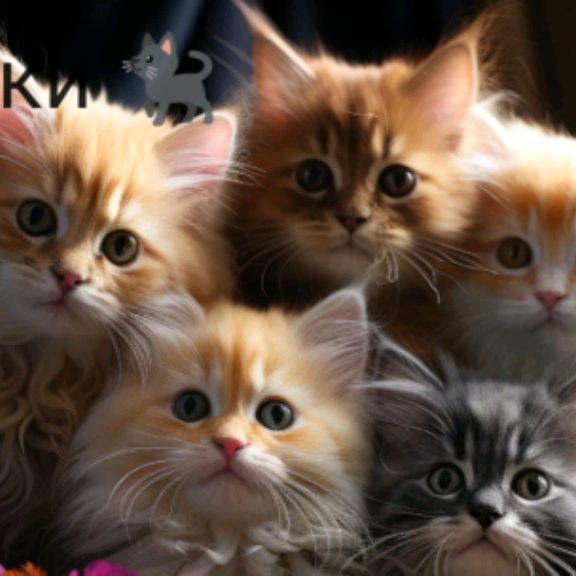 Маленькие котики