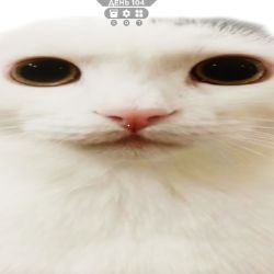 хто я