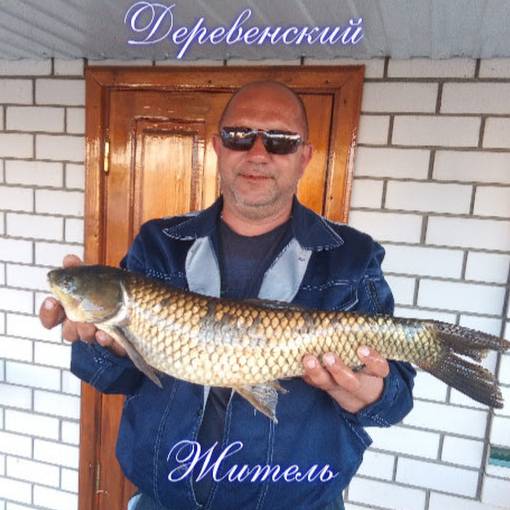 Деревенский Житель