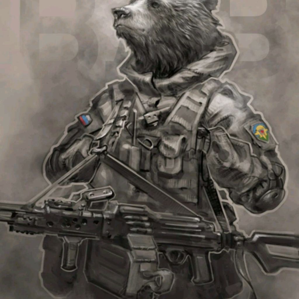 VanSi