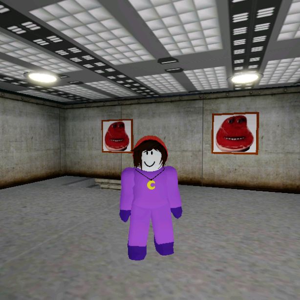 Фанат Roblox