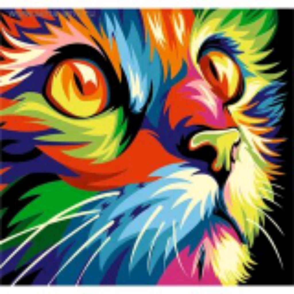 le chat