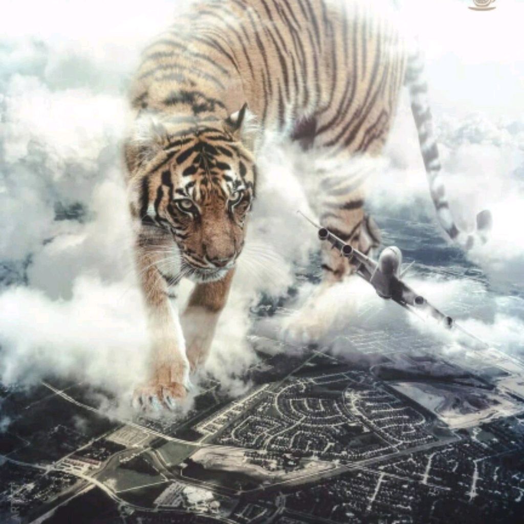 Владимир25456260