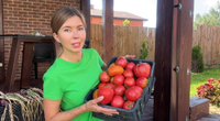 Волшебная грядка Марины Шевляковой