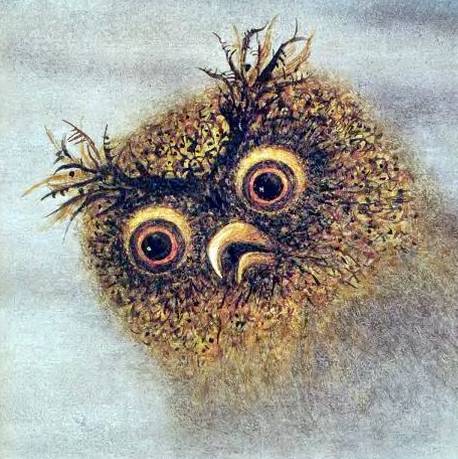 owl