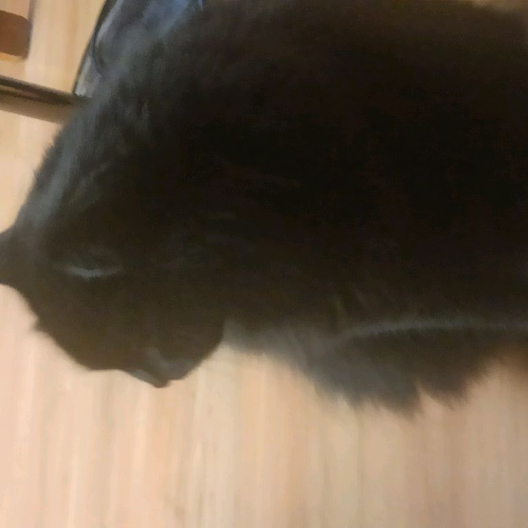 ??????