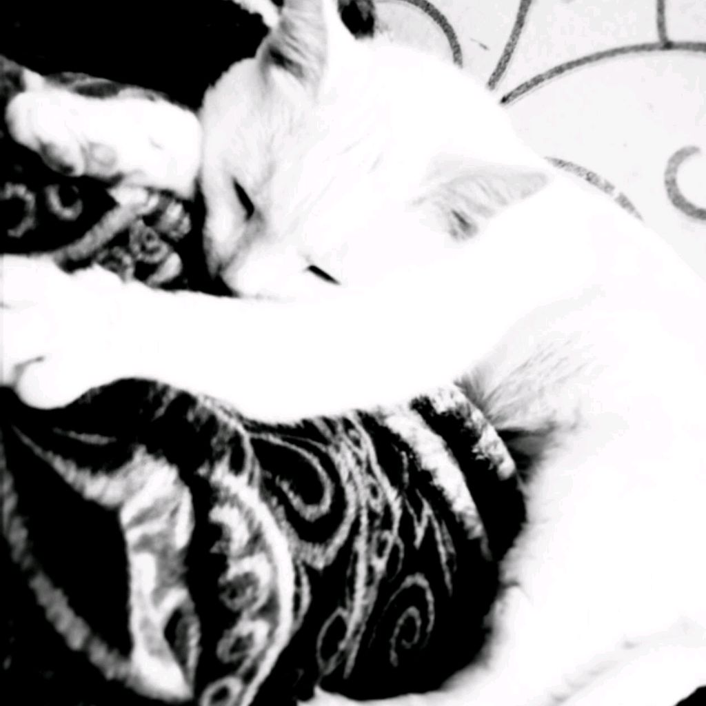 Kinoman