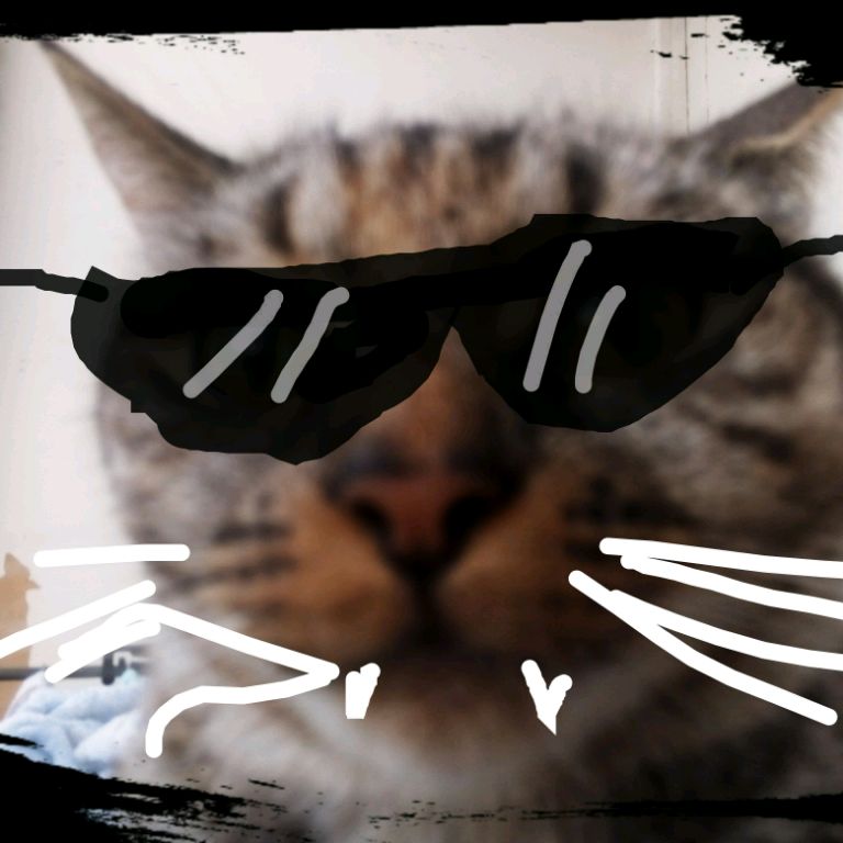 Мурся Котеевна 🐾😼🕶️